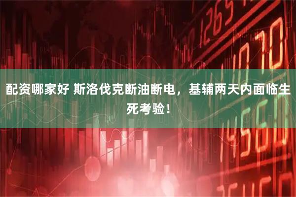 配资哪家好 斯洛伐克断油断电，基辅两天内面临生死考验！